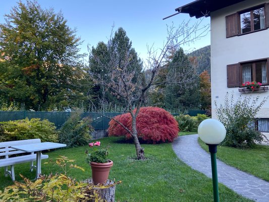 Photo of the garden Pinzolo (Pinzolo - Val Rendena)
