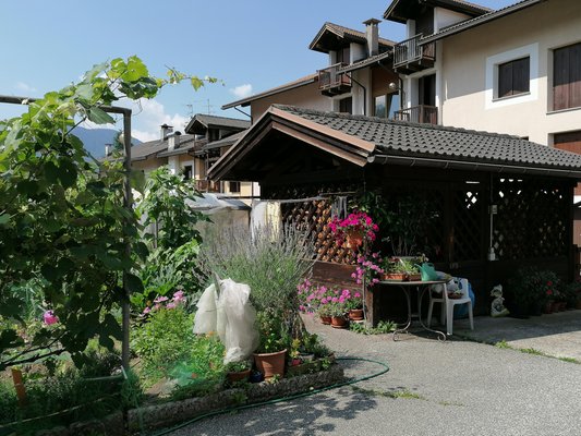 Foto del giardino Transacqua (Primiero)