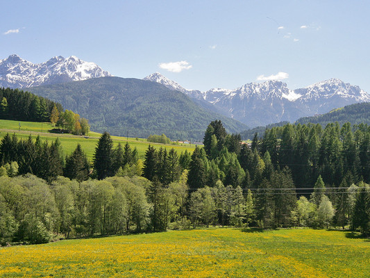 View from the business