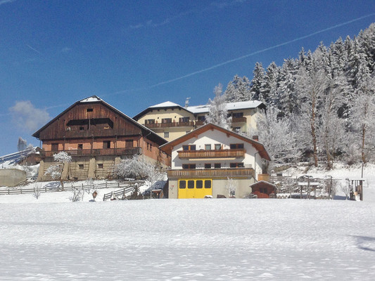 Foto esterno Appartamenti in agriturismo Wirthof