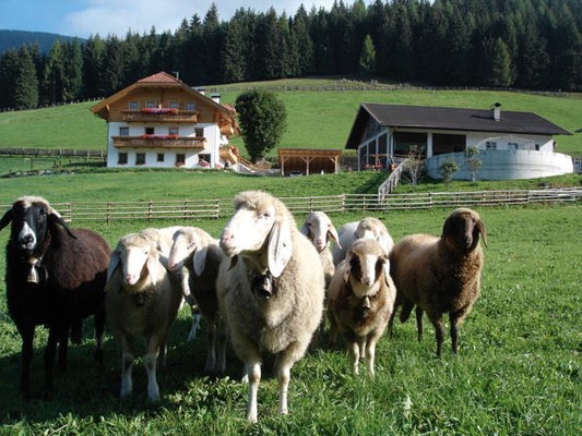 Position Apartments Oberredensbergerhof Rasun in Valle d'Anterselva / Rasen im Antholzertal