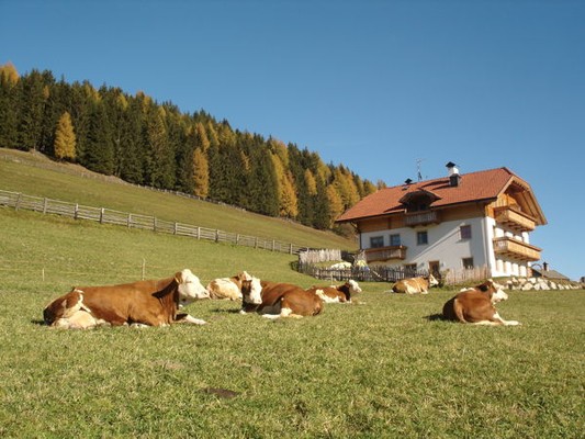 Position Apartments Oberredensbergerhof Rasun in Valle d'Anterselva / Rasen im Antholzertal