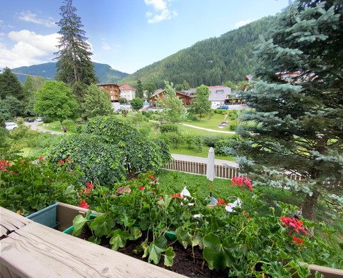 View from the business