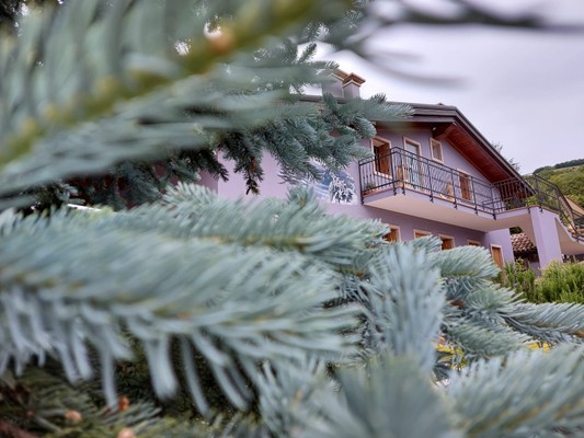 Foto esterno Bed & Breakfast Stella Alpina