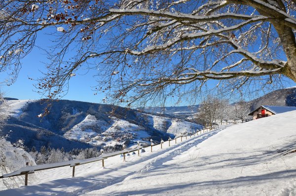 Gallery inverno