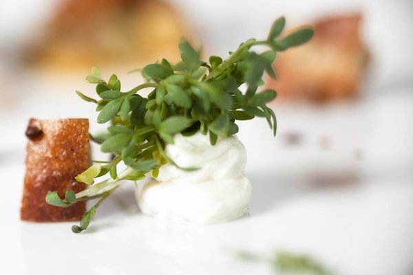 Il cibo