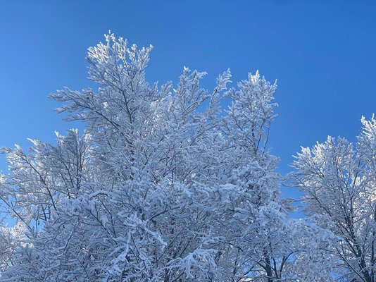 Gallery inverno