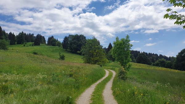 Panoramic view Asiago