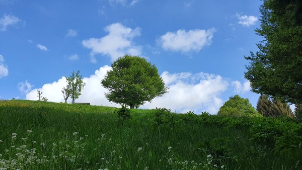 Panoramic view Asiago