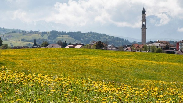 Foto Außenansicht im Sommer Canove