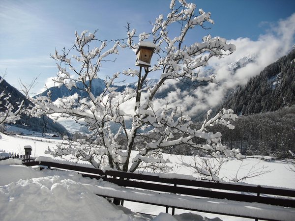 Panorama Anterselva