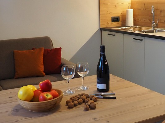 The living area Garni (B&B) + Apartments Santl
