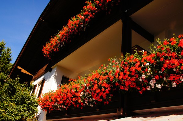 Photo exteriors Garni (B&B) + Apartments Santl