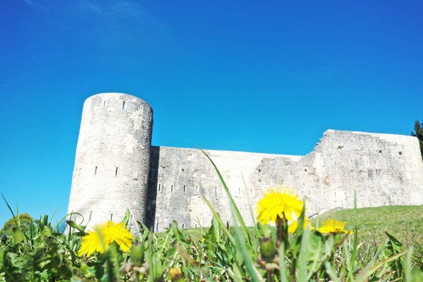 Photo gallery