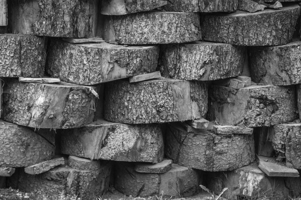 Foto di alcuni dettagli Larice Due