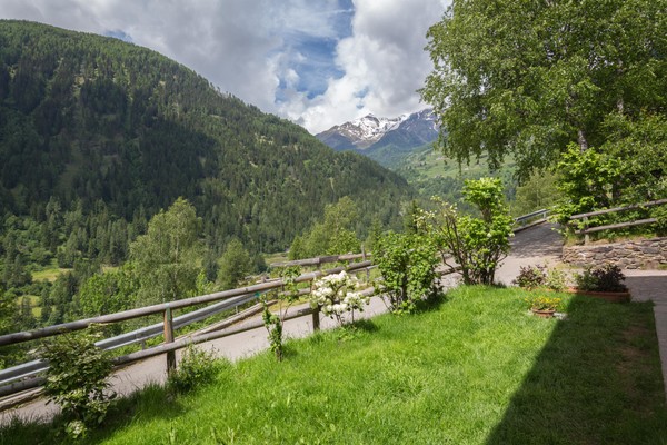 Foto del giardino Cogolo di Peio