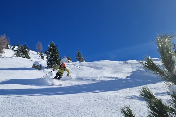 Attività Bolzano e dintorni
