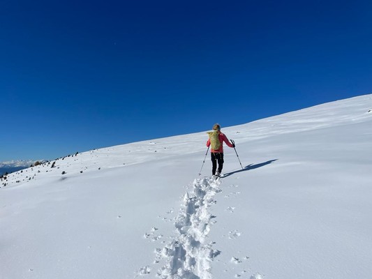 Aktivitäten Eisacktal