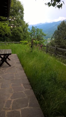 Foto vom Garten Cavalese