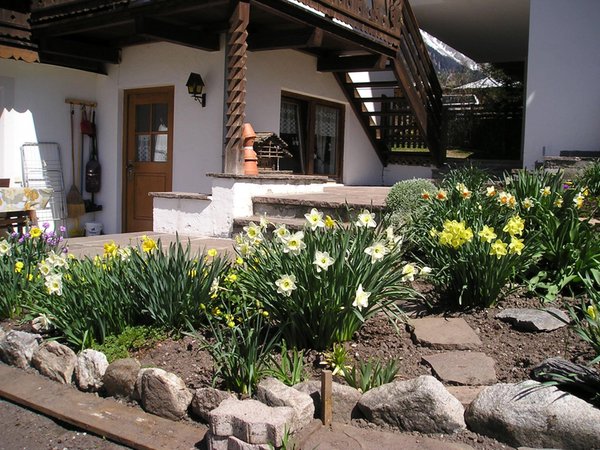 Foto esterno in estate Müllerhof