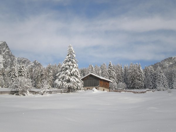 Gallery inverno