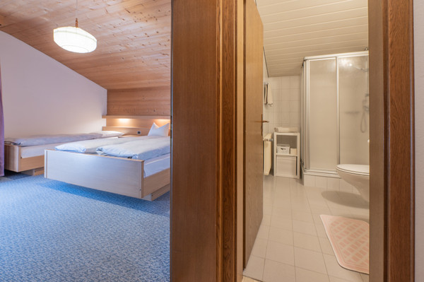 Photo of the room Apartments Auerbrunn