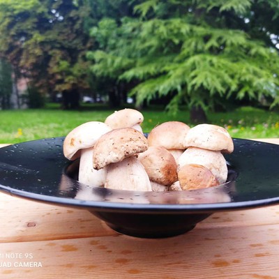 Ricette e proposte gourmet Villa Ciardi
