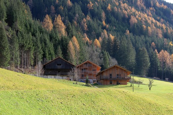 Foto esterno in estate Nösslerhof
