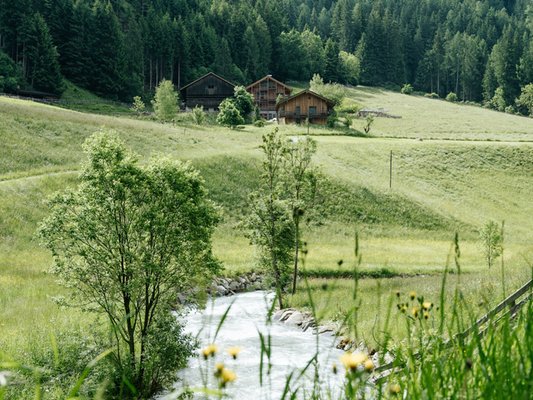 Sommer Präsentationsbild Ferienwohnungen auf dem Bauernhof Nösslerhof