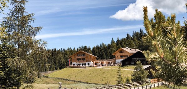 Photo exteriors in summer Roner Alm