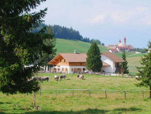 Foto esterno Malga M. S. Pietro