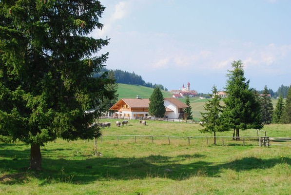Lage Alm Petersberger Leger Alm Deutschnofen