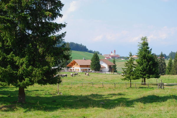 Position Alpine farm M. S. Pietro Nova Ponente / Deutschnofen