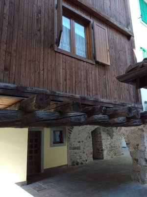 Foto esterno in estate Botton d'oro