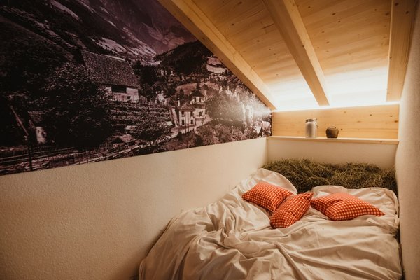 Foto della camera Appartamenti Chalet Passeier