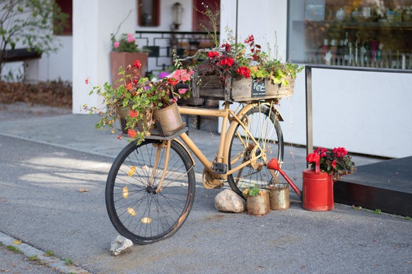 Foto einiger Details Rosa Regina Bistro Shop