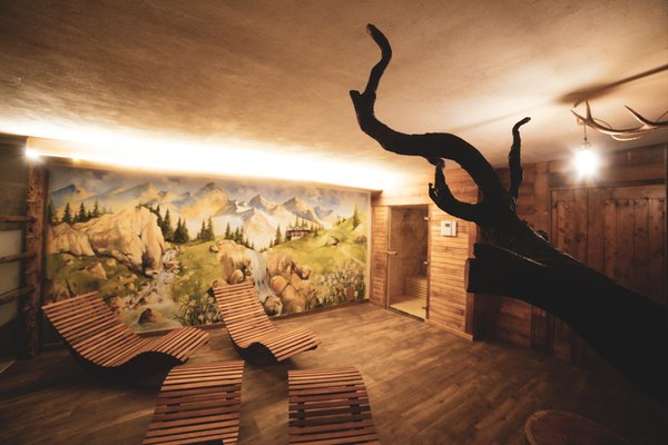 Photo of the wellness area Residence Chalet della Guida