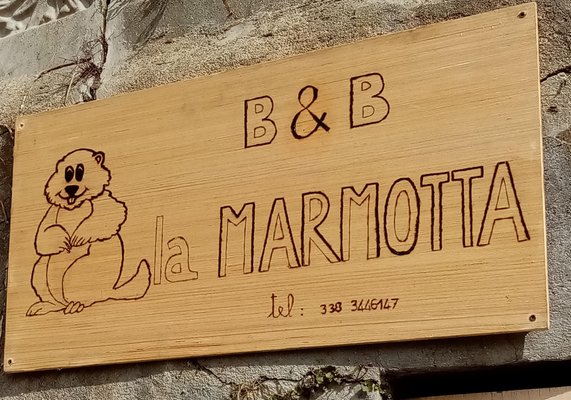 Foto di alcuni dettagli La Marmotta