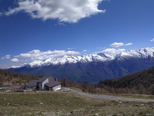 Foto esterno Pensione in agriturismo La Darbunera