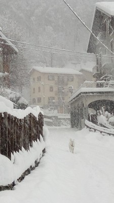 Foto Außenansicht Hotel Ala
