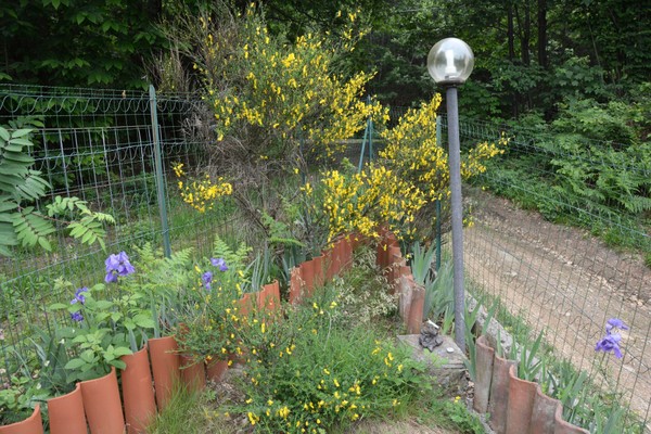 Foto vom Garten Castellamonte (Valle Sacra)