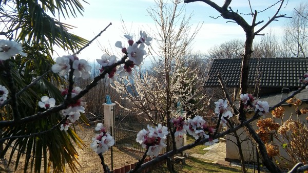 Foto vom Garten Castellamonte (Valle Sacra)