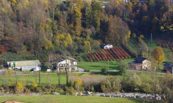 Position Farmhouse apartments Ospitalità S.Grato Ceres (Val d'Ala)