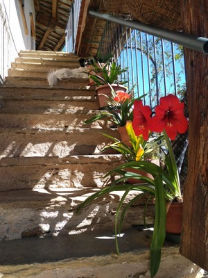 L'ingresso