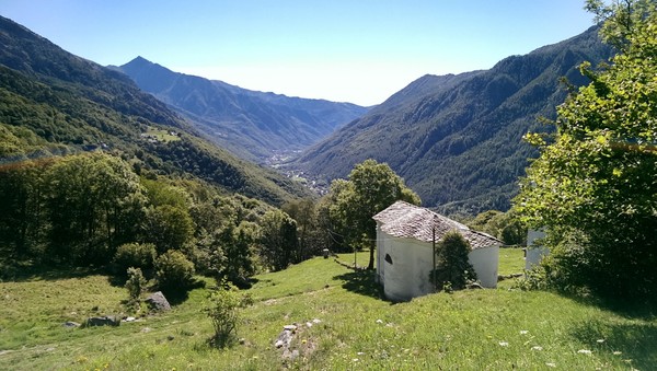 Bildergalerie