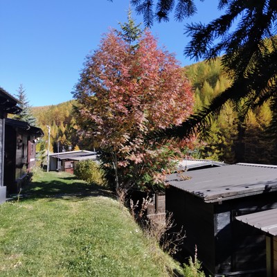 Foto Außenansicht Campingplatz Chisonetto