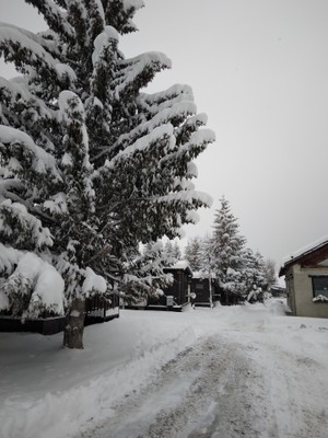 Foto esterno Campeggio Chisonetto