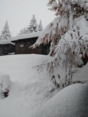 Foto esterno Campeggio Chisonetto