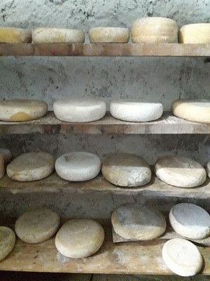 Il cibo