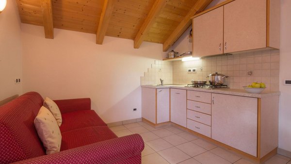 Photo of the kitchen Agreiter